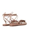 Orchid Sandal Biscuit Online Orchid Sandal Biscuit Online