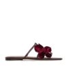 Orchid Slide Ruby Online Orchid Slide Ruby Online