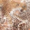 Rebellion Harem Pant Latte Leopard Online Rebellion Harem Pant Latte Leopard Online