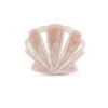 Shell Clasp Blush/Ivory Online Shell Clasp Blush/Ivory Online