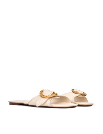 Solena Slide Milk Online